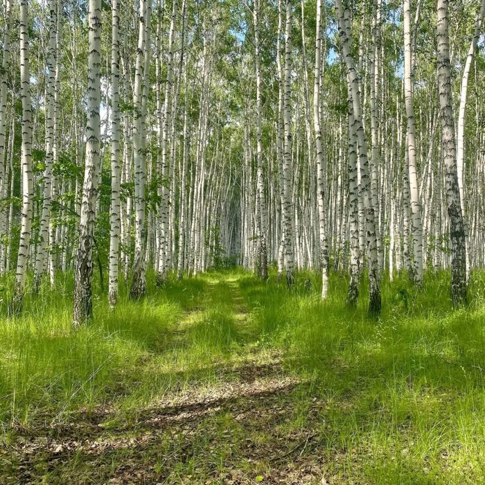 15 соток, Ключевое