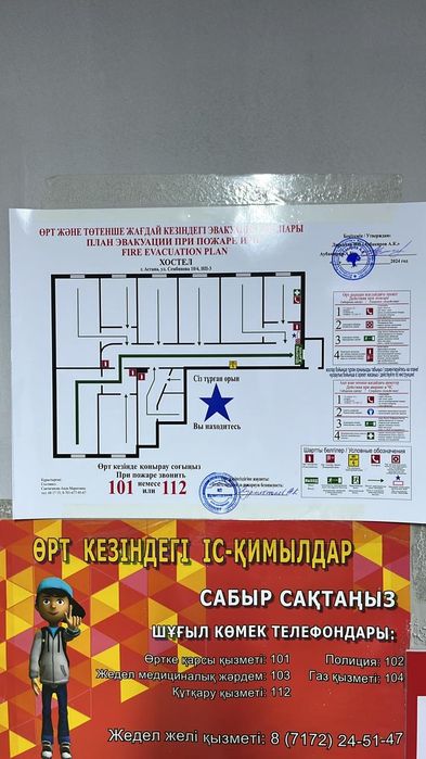 INJIR hostel. Месяц 45 000