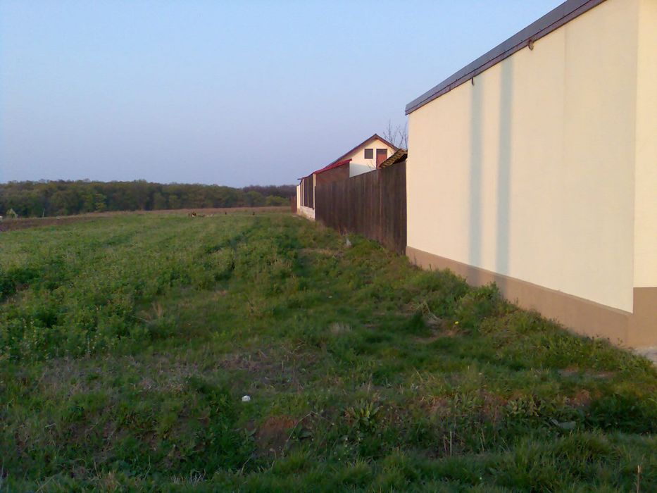 Teren INTRAVILAN 1000 mp Gradistea Ilfov