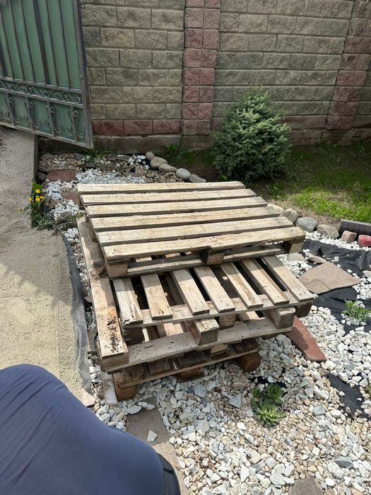 Поддоны 1300 1 штук