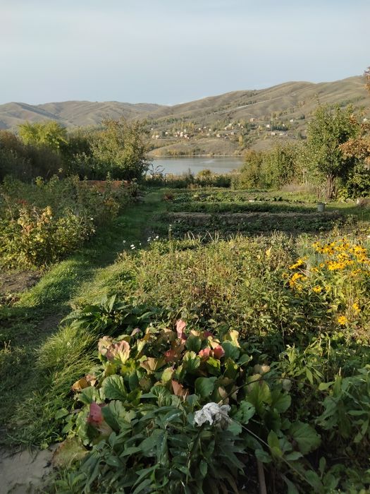 Продам участок на берегу Иртыша