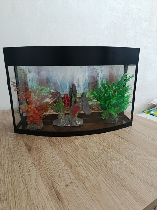 Akvarium sotiladi