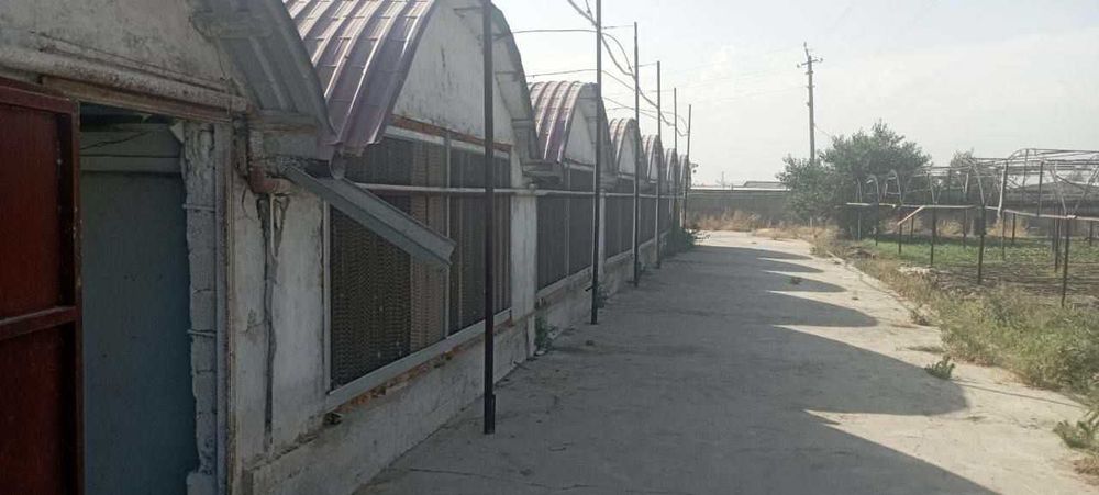 Срочно продаётся нежилое помещение и земля 10 Гектара Новый Ташкент