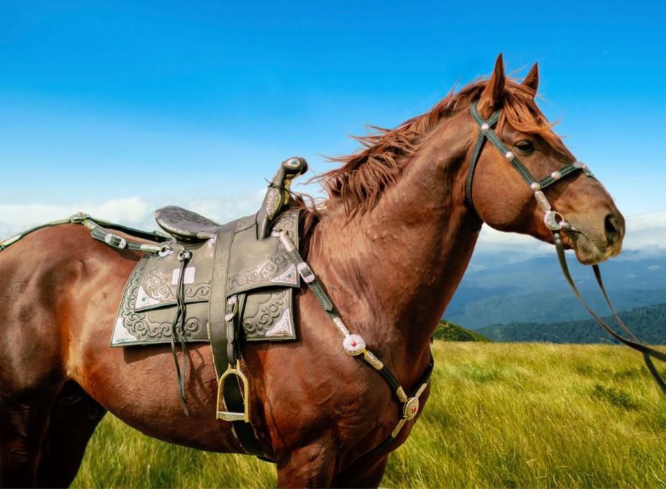 Седло - ер тоқым