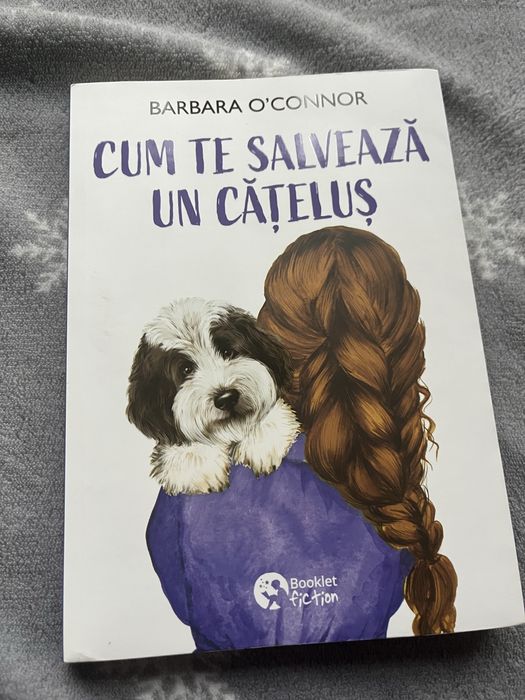 Carte de citit povesti poezii