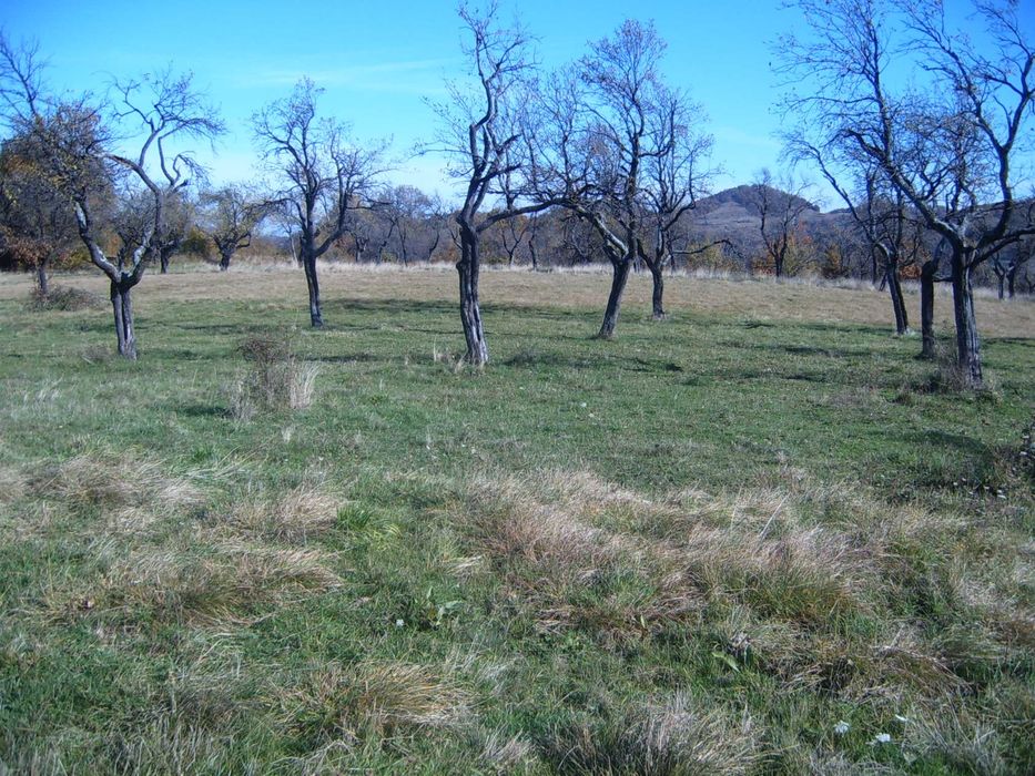 Поземлен имот - с. Орешак, панорамна гледка