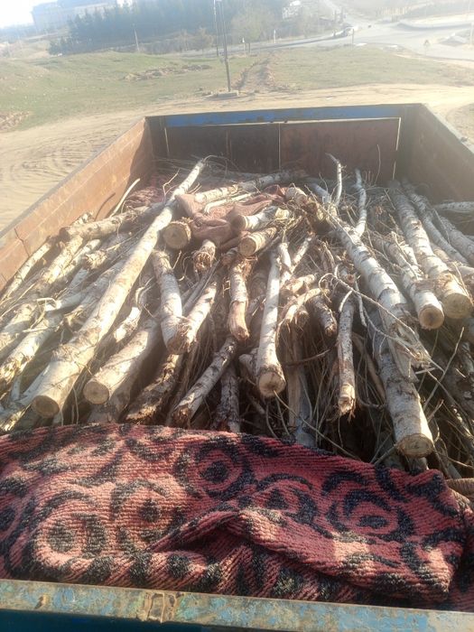 utin sotiladi nishon geres