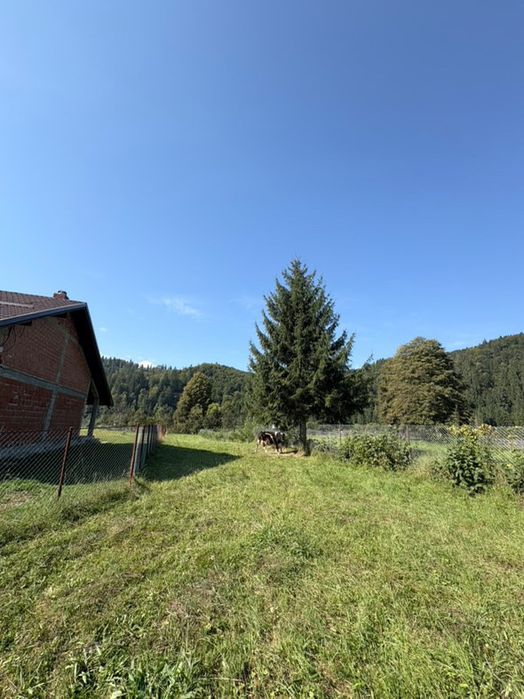 Vând teren intravilan in vatra molovitei 1358mp
