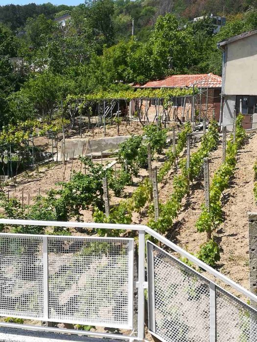 Продава се Къща в Варна, Спортна зала - 220 кв.м за 1591 €/кв.м - Снимка #1