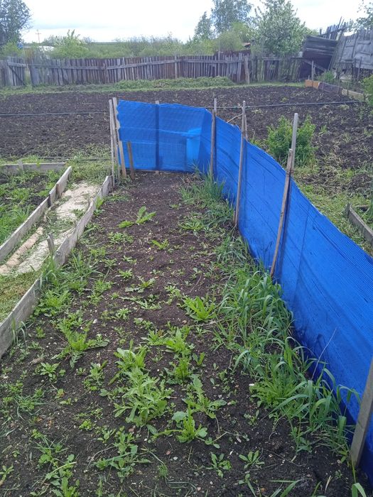 СРОЧНО за 2 дачи вместе с ДОКУМЕНТАМИ по зерендинской трассе