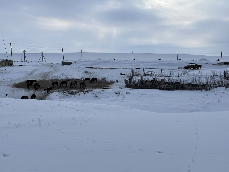 Крестьянское хозяйство