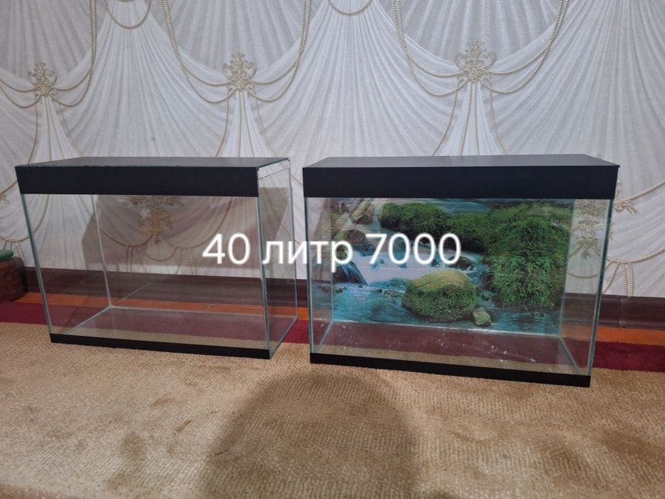 Аквариум сатылады