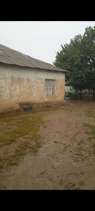 Dalahovli qilish niyatida bôlganlar uchun keng maydonli yer