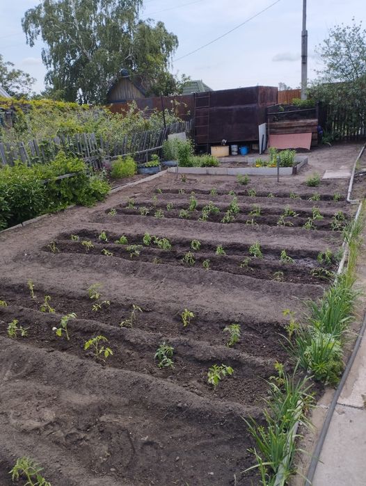 Продам дачу со строитель.