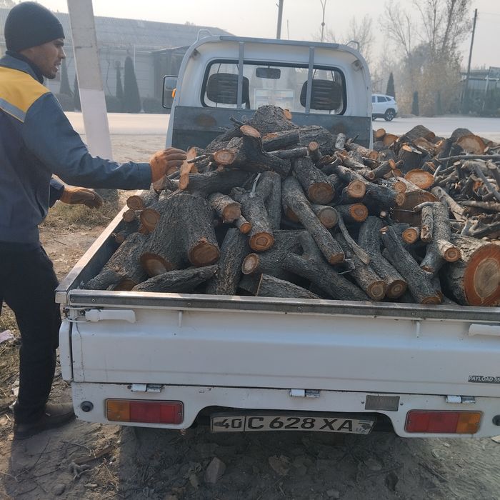 Утин Урик тайор бор