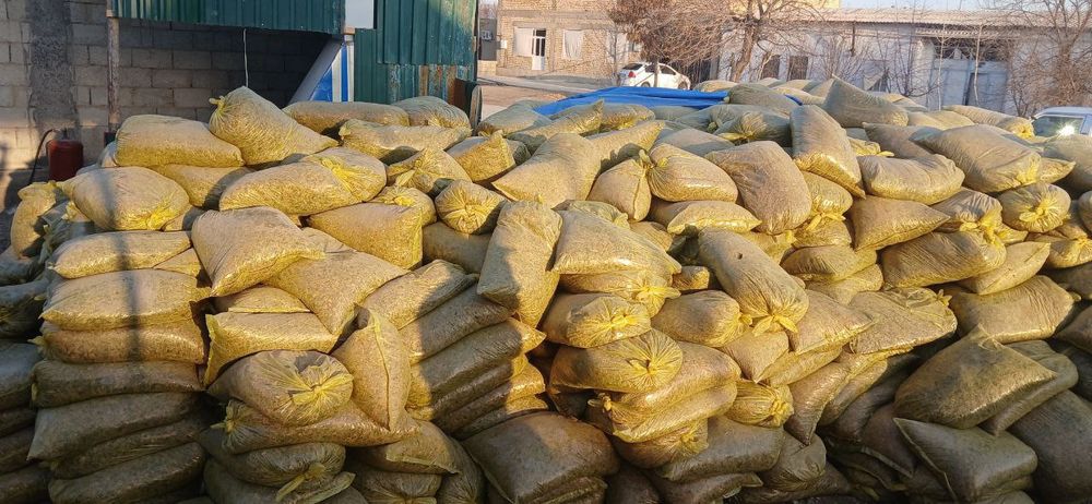 Yaguar silos donlik bugʻdoylik