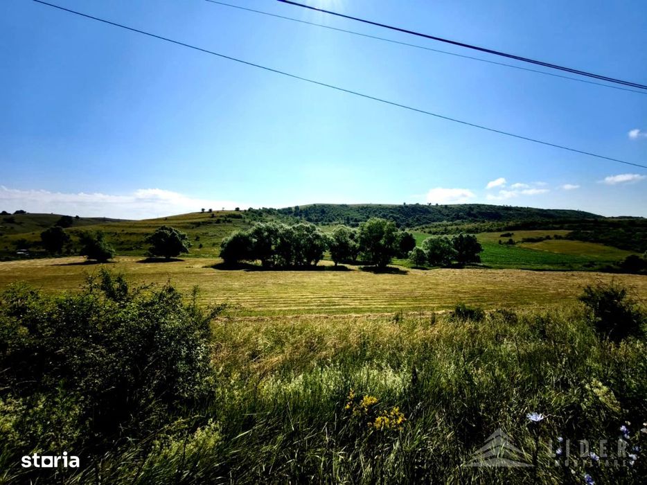 Teren 4501 mp intravilan Chinteni, Le1 | 15 min Cluj-Napoca