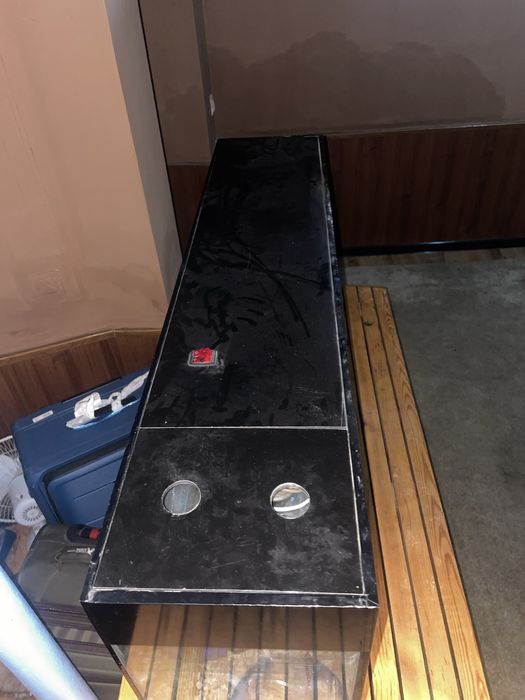 Akvarium baliq dekorativ