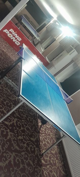 Ping pong ZAVODSKOY MDF Stollar  bor