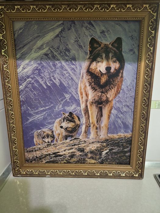 Продам картаны, хорошего качества