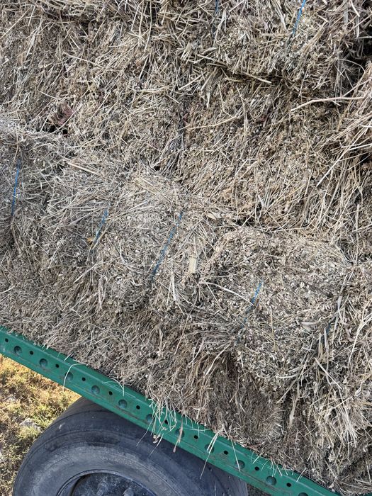 Vand baloti lucerna,cantitate mare