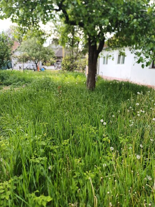 Proprietar vand casa individuala Craiter-Brasov