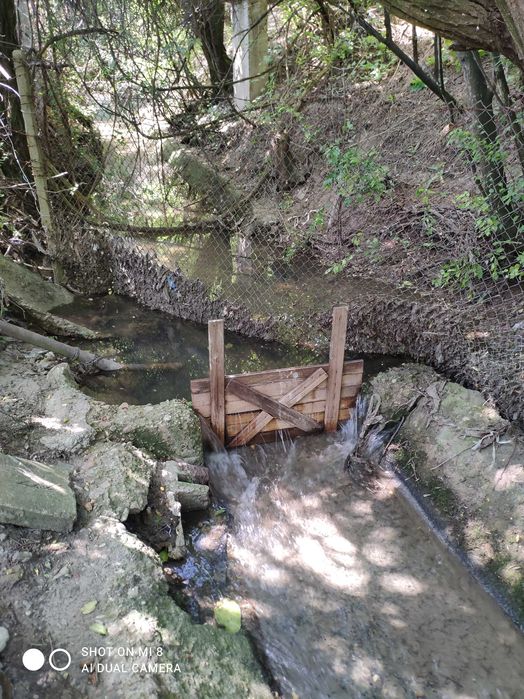 Продава се Къща в с. Поликраище, Област Велико Търново - 5718 кв.м за 9 €/кв.м - Снимка #8