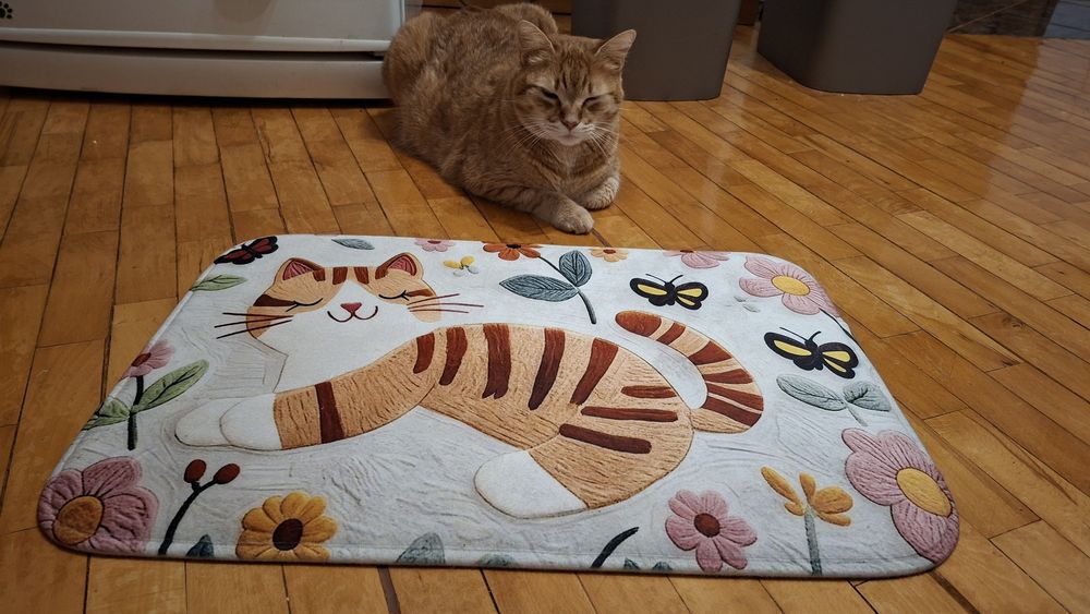 Covoraș pisică 40/60cm