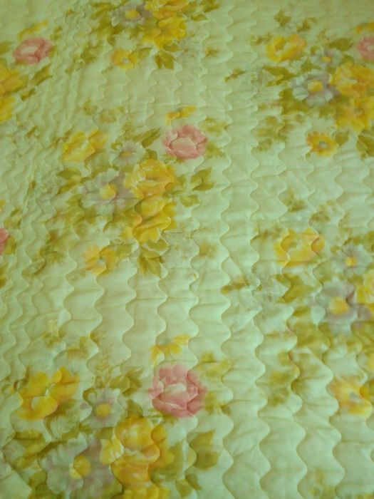 Плкрывало греческое