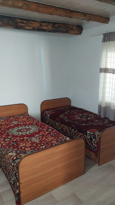 Сдам  дом и домики в Боровом