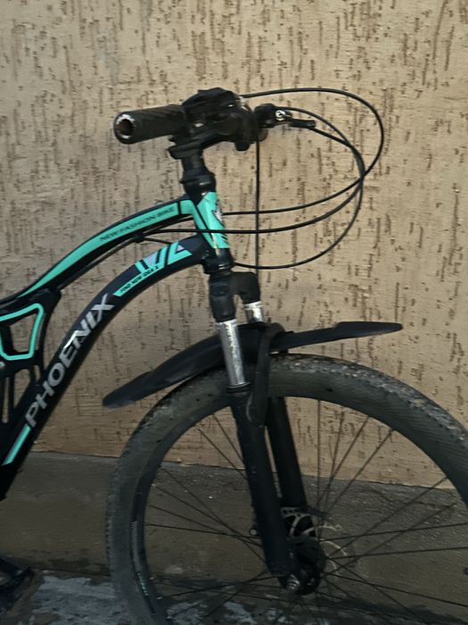 Phoenix TP-2607-13A MTB.
