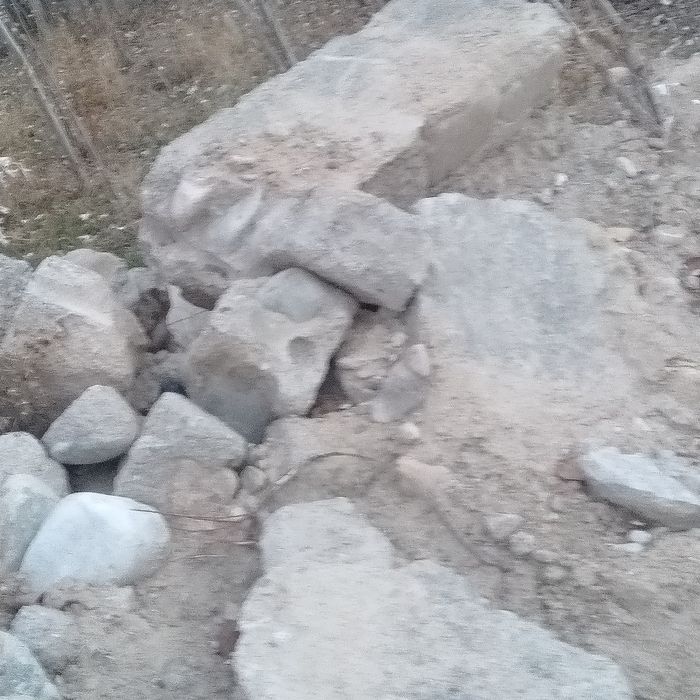 Блужник бетондар