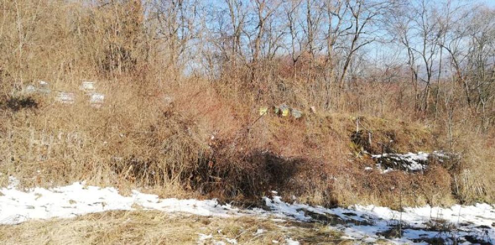 Къща в с. Студена