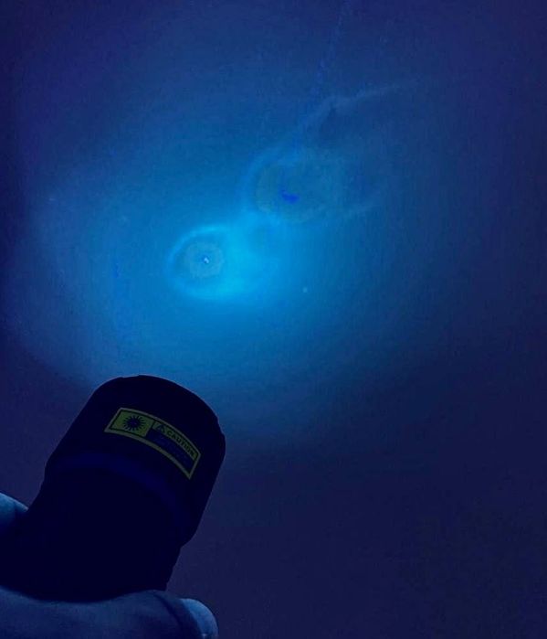 Фонарь СКАНЕР шпаткелки