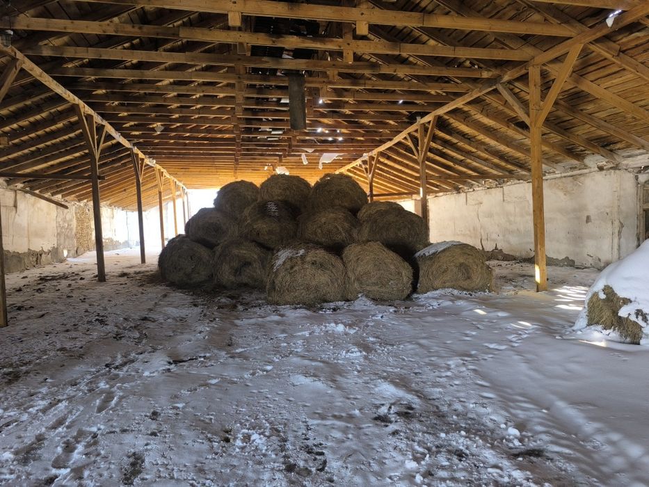 Сено  разнотравье