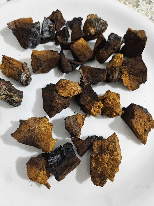 Ciupercă Chaga de mesteacan - 100% naturală, uscată, gata de utilizare