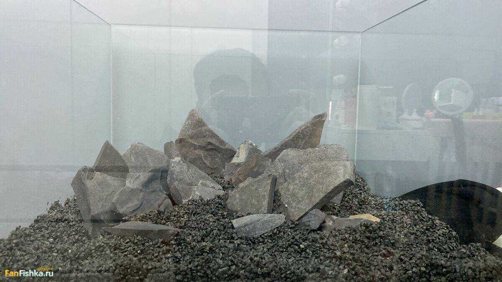 Аквариум ~100 литров