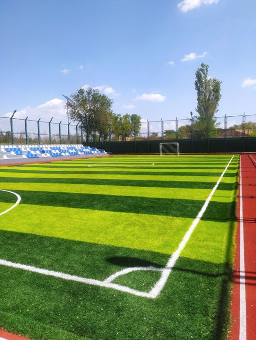 Суний газон ва девор