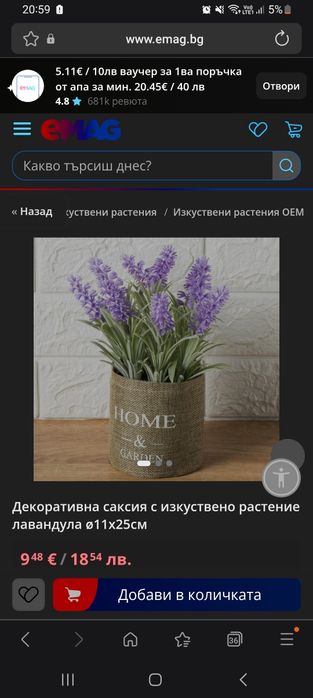 Комплект от 3 саксии с лавандула и декоративно жабче, Спиди/лично предаване