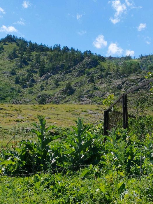 дом для вашей семьи