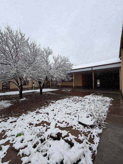 СРОЧНО! ЕВРО УЧАСТОК | 50 м ОТ ДОРОГИ | Ор-р Лукойл заправка, Рохат |