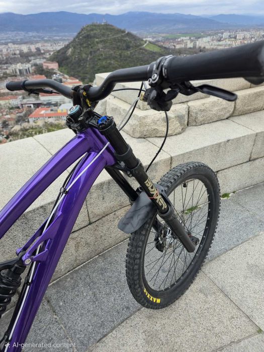 Dh bike Ram synergy 2016