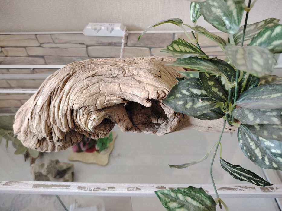 Сухой аквариум для животных Террариум