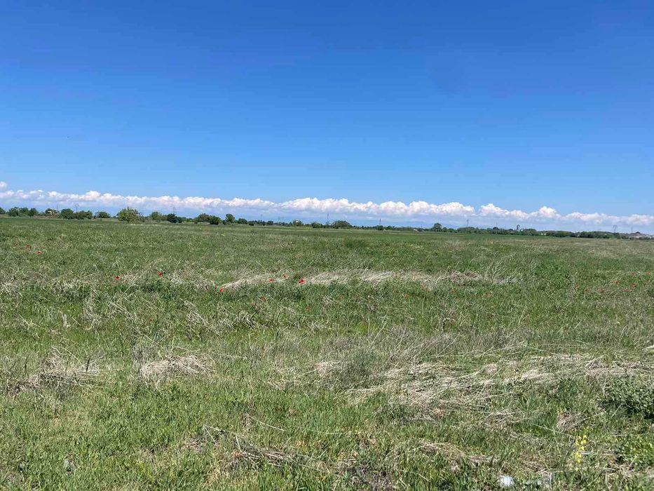 Продава се Парцел в с. Ягодово, Област Пловдив - 6299 кв.м за 30 €/кв.м - Снимка #1