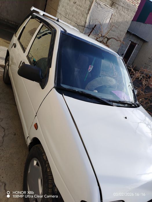 Дайво тико сотилади