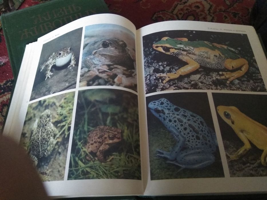 Продам книги о животных.