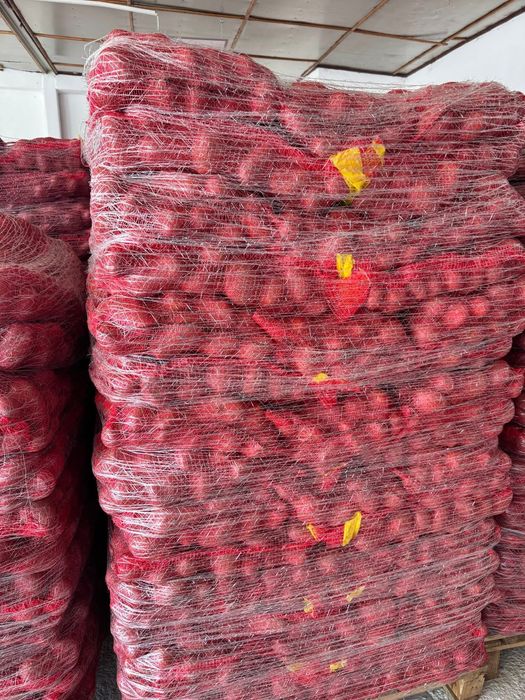 Cartofi EN-GROS calibru 70+ Belgia – Germania – Franța | Spălați 10 kg