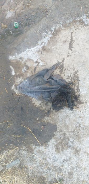 Канализация тозалаш хизмати.Тез ва сифатли...Услуга чистки канализаци.