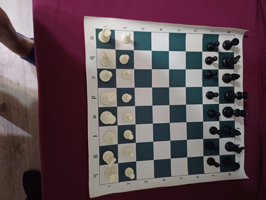 Шахматы с футляром