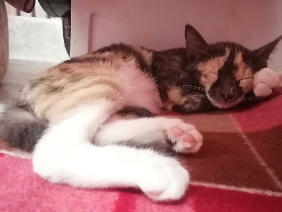 Бабочка, это её имя, уже 6 месяцев девочке.